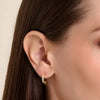 Rope Multi-Hoop Stud Earrings in 14K Yellow Gold-Plated Sterling Silver