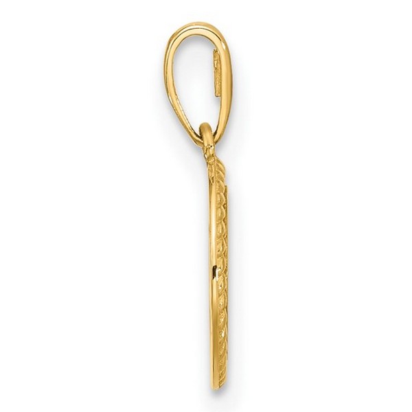 14K Polished Round with Rope Border Charm