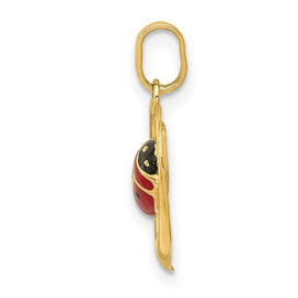 14k Enameled Ladybug in Heart Charm